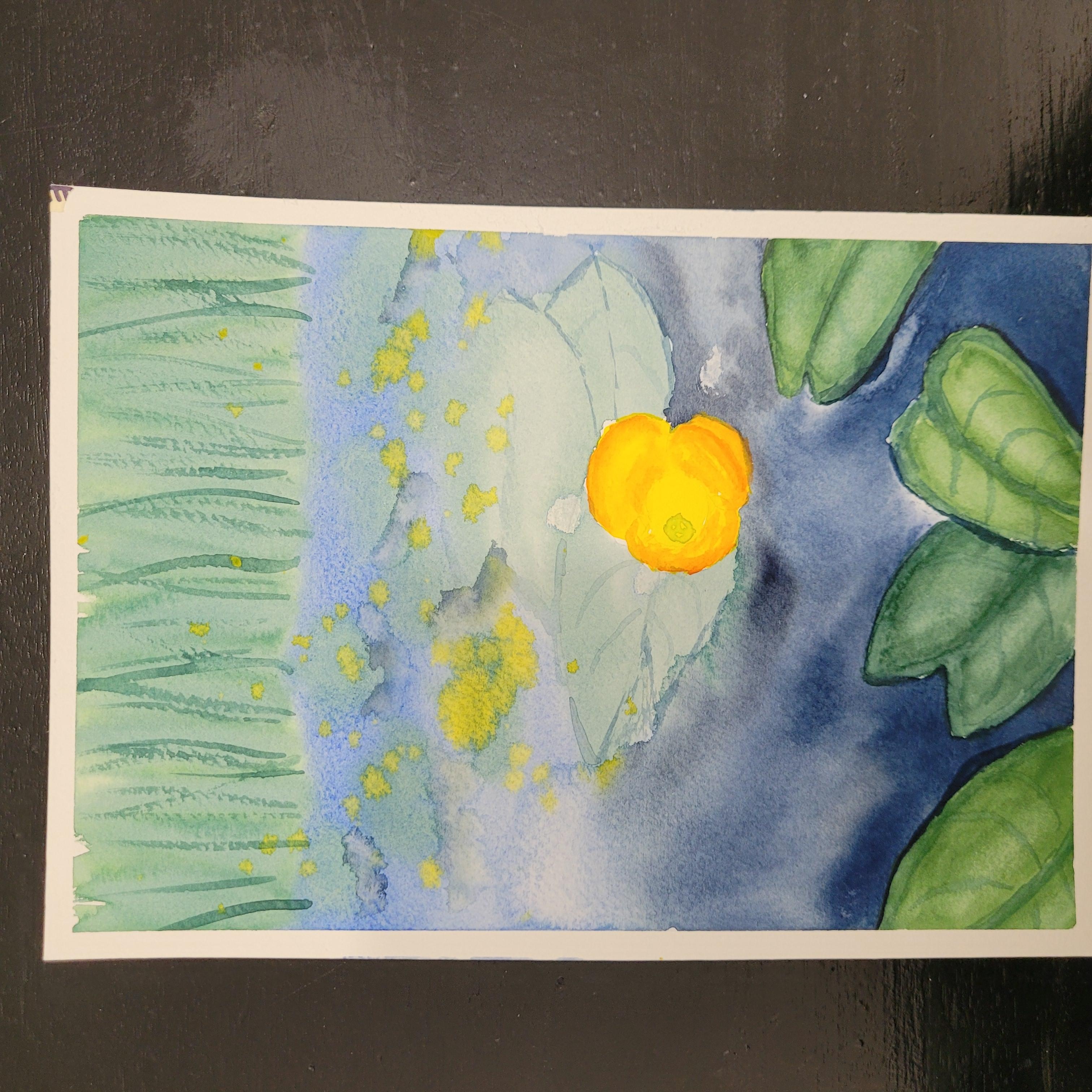 more-projects-from-class-img