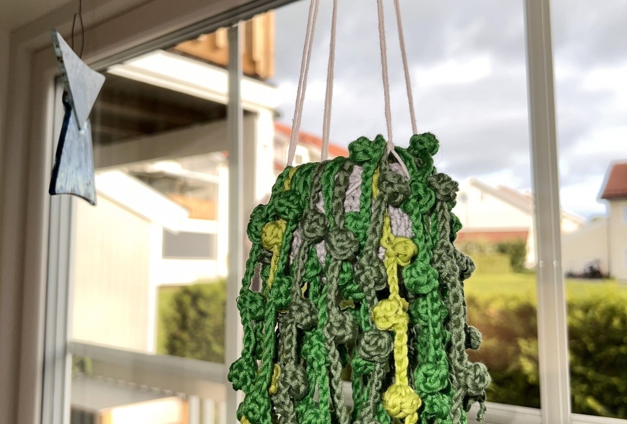 This is my hanging plant - student project