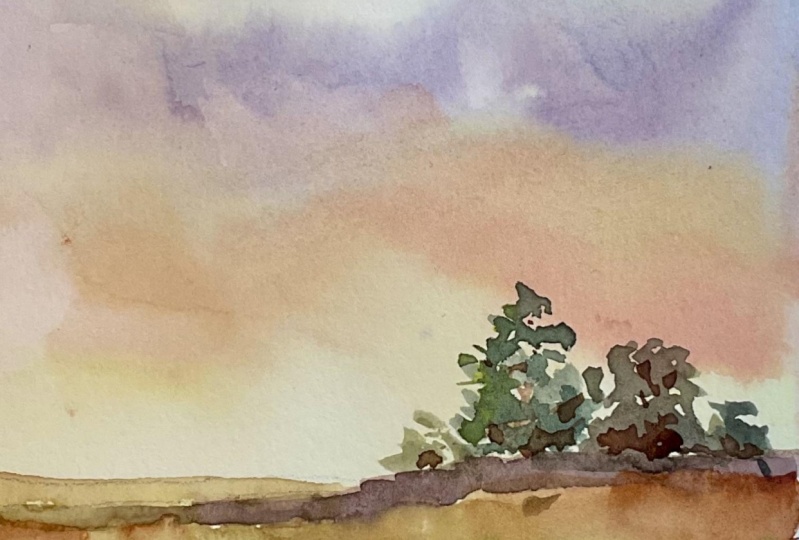 Landscape in 30 min