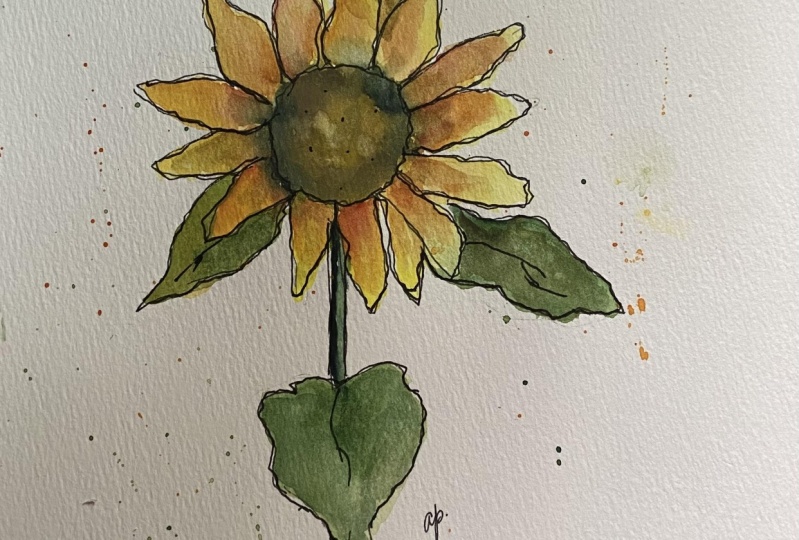 Sunflower sketchbook project