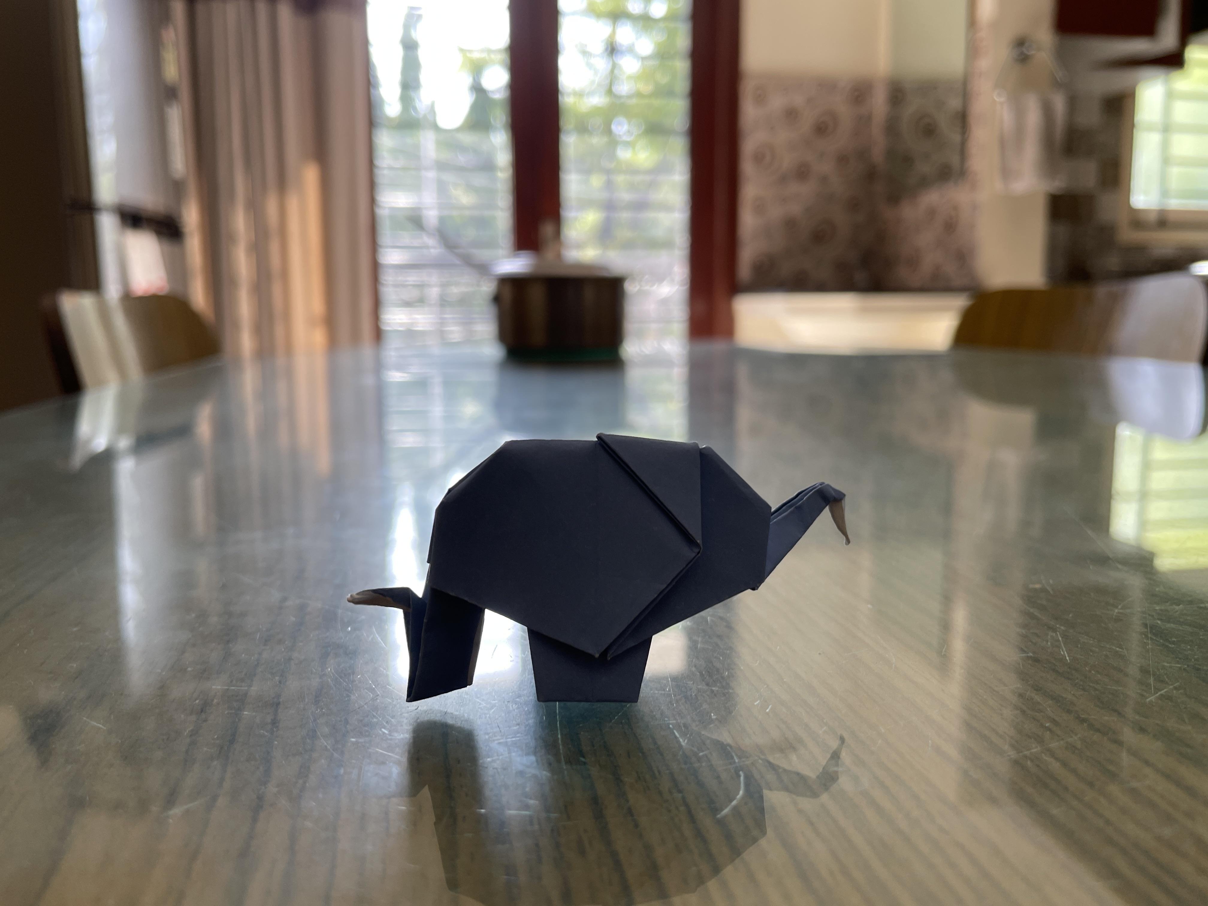 more-projects-from-class-img