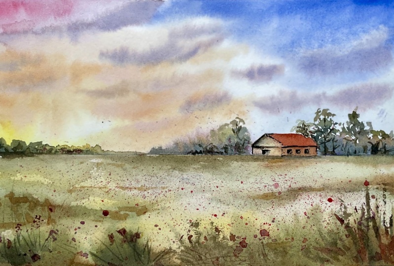 Landscape / sky