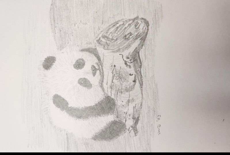 Baby Panda Drawing Video