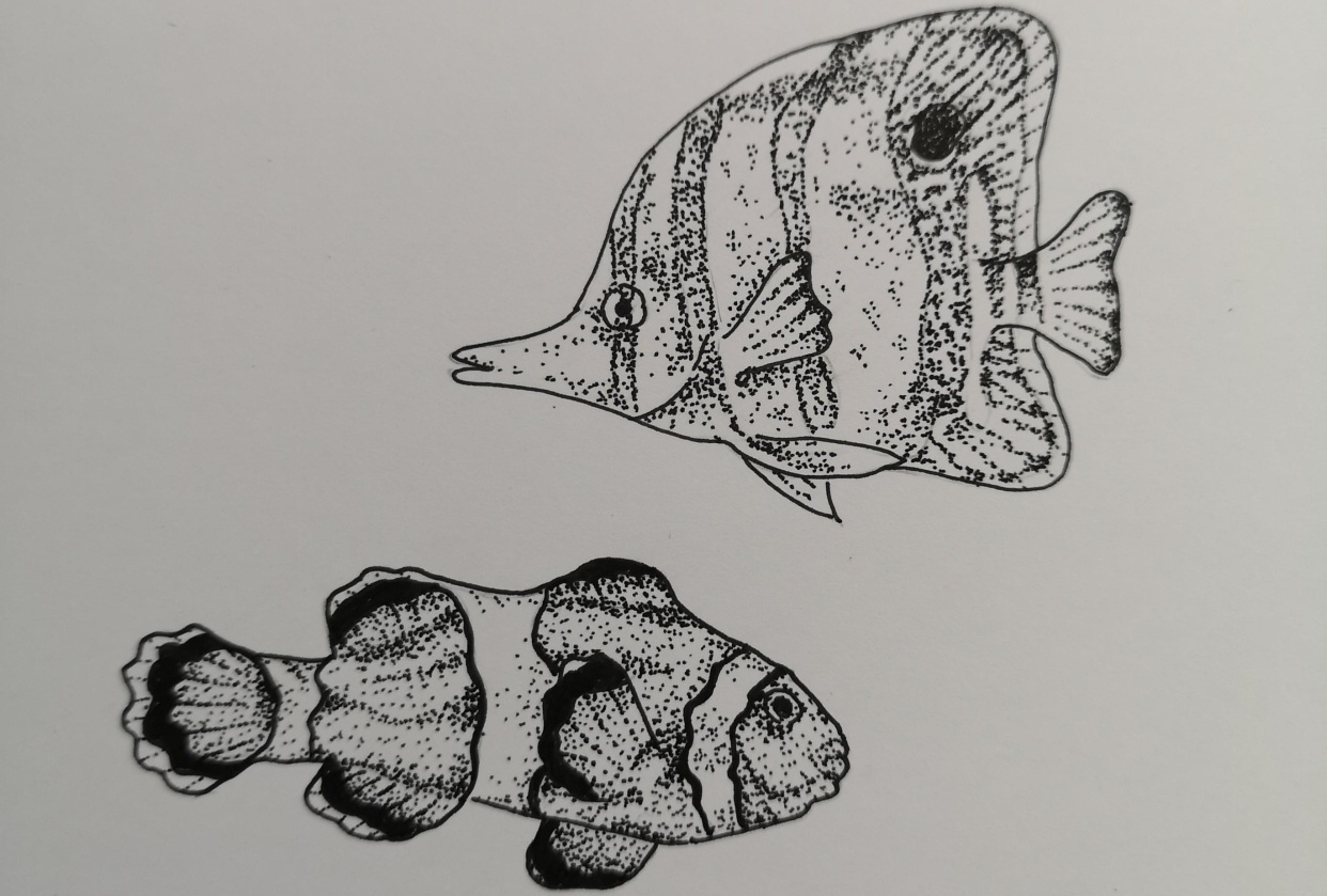 Stippling Tropical Fish - student project