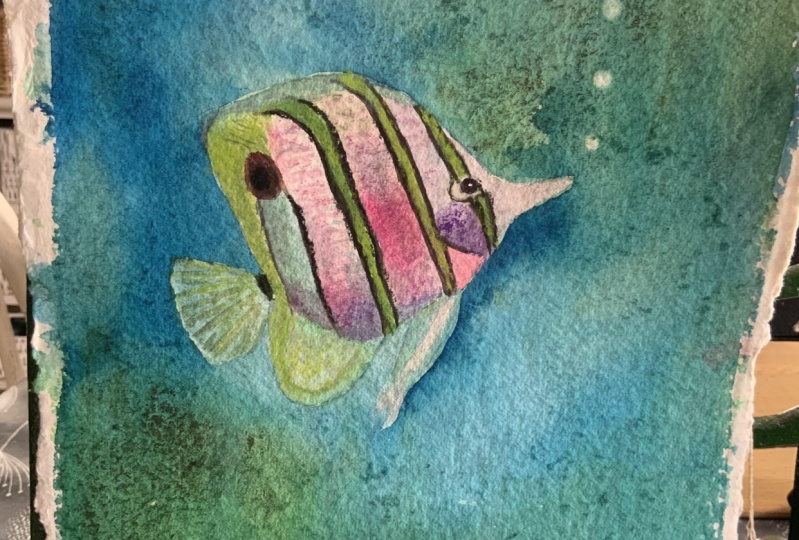 Fishy tales