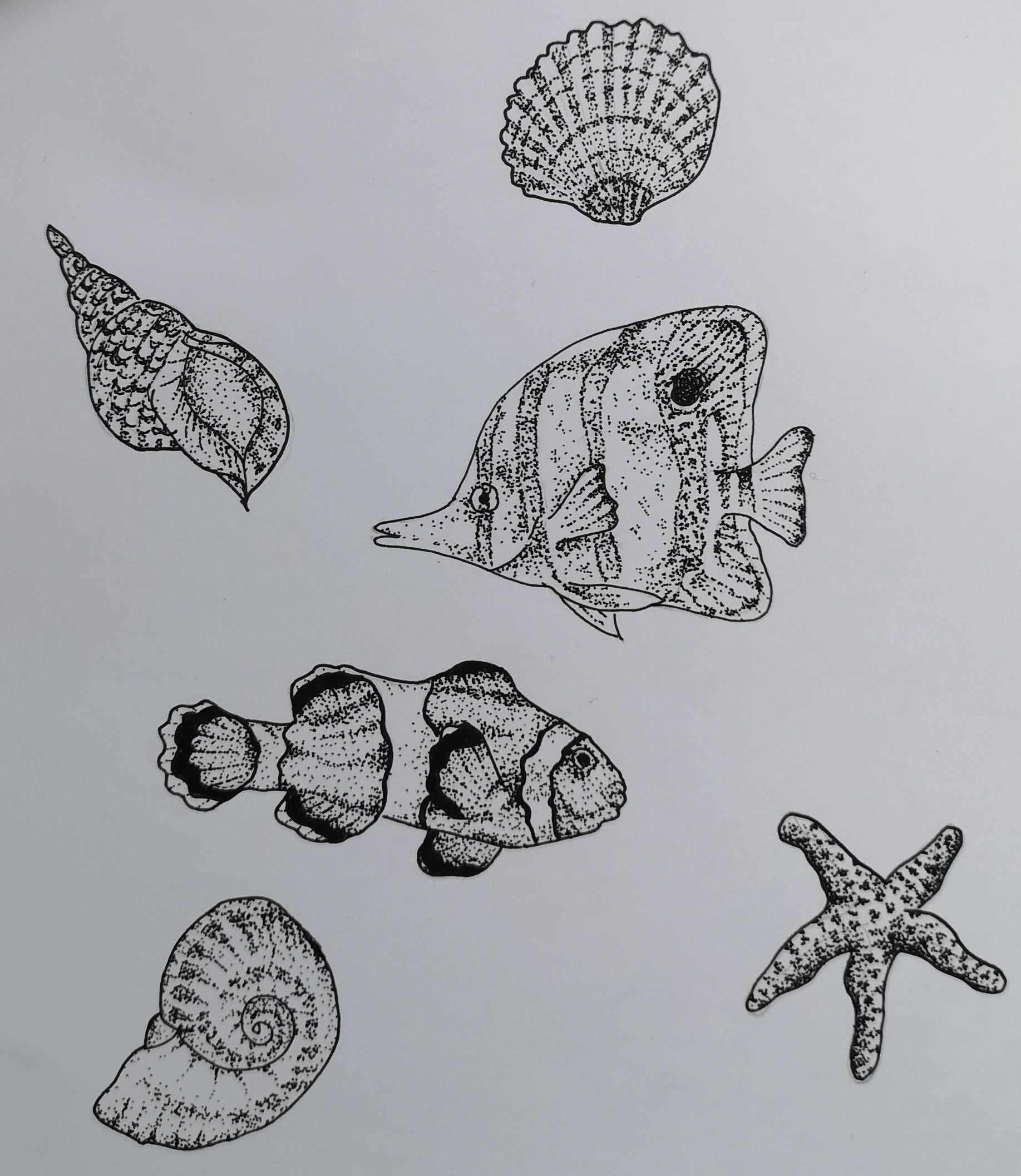 more-projects-from-class-img