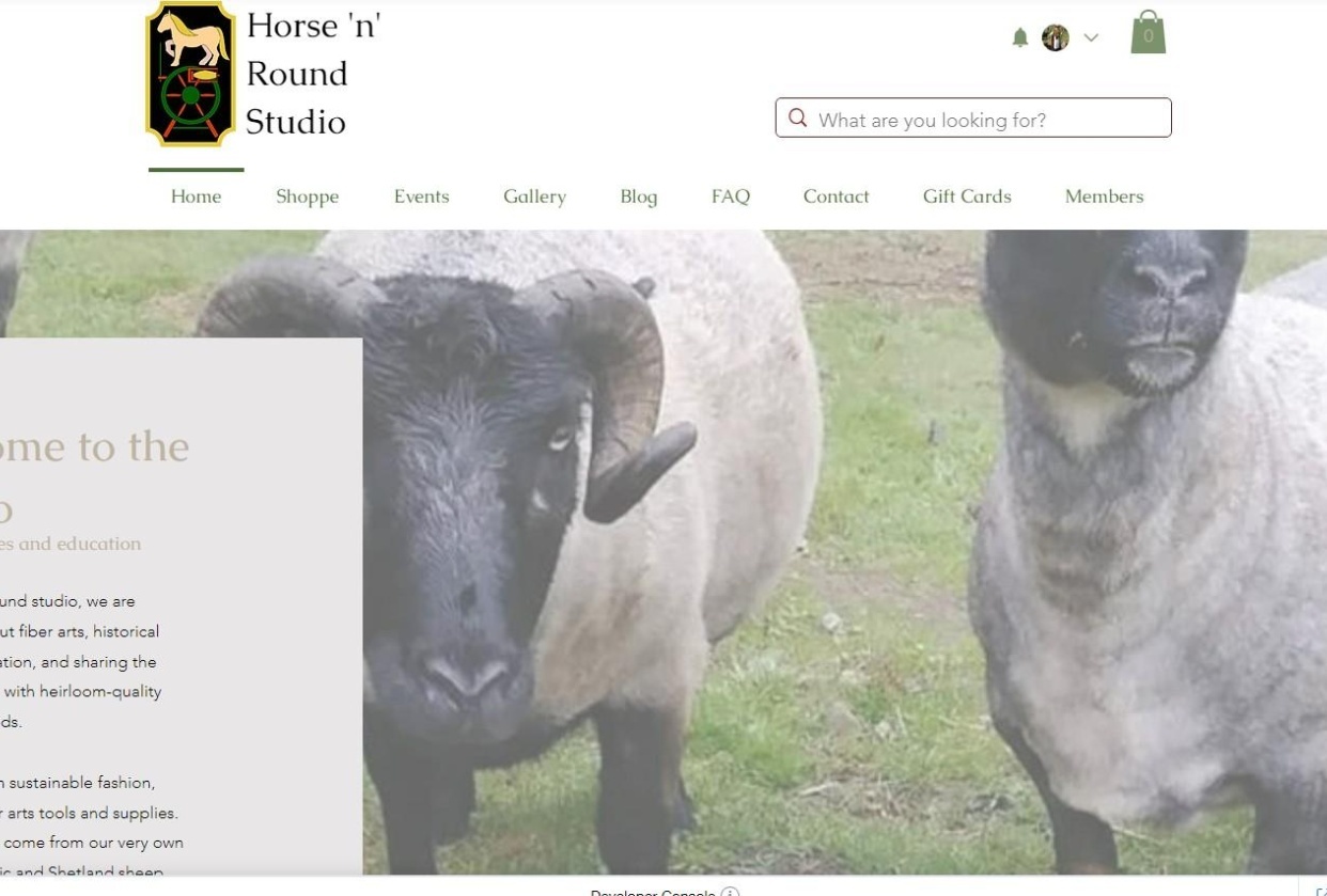 Website redesign - student project