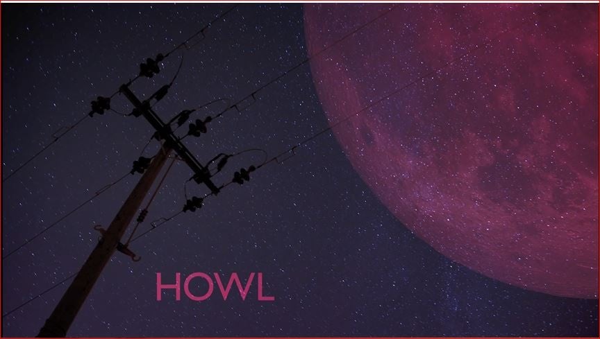 Howl - student project