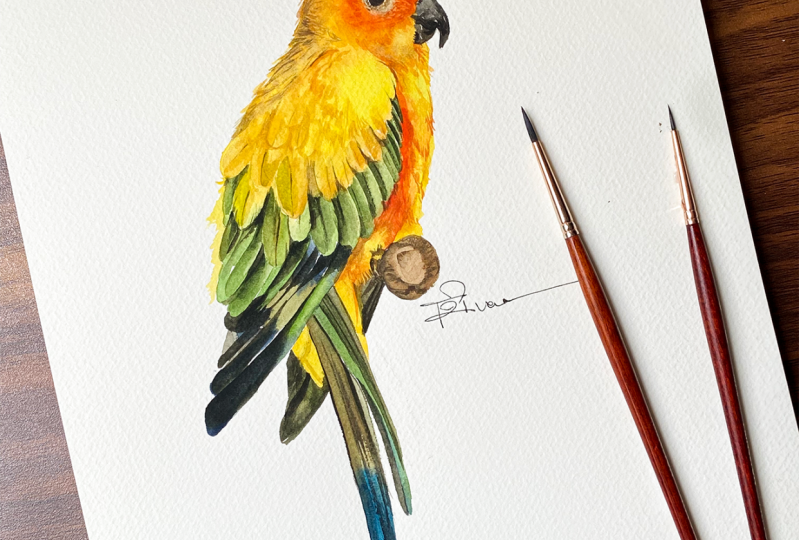 Bird