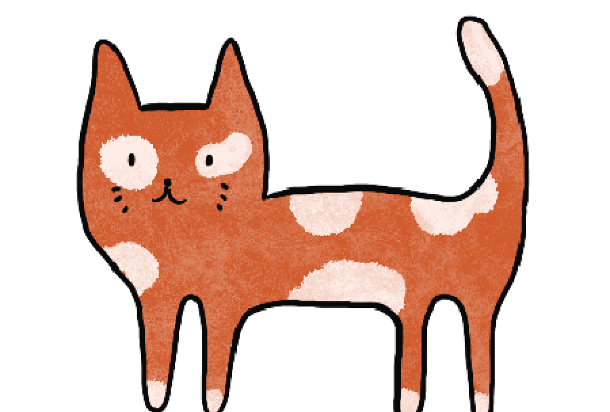 Ginger cat - student project