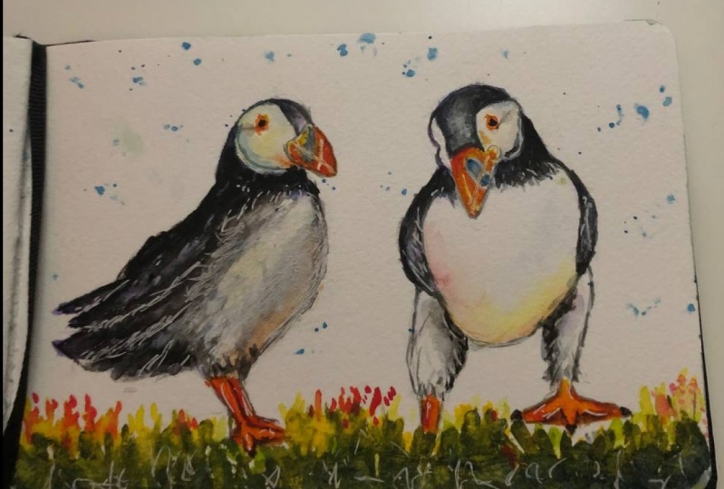 Puffins