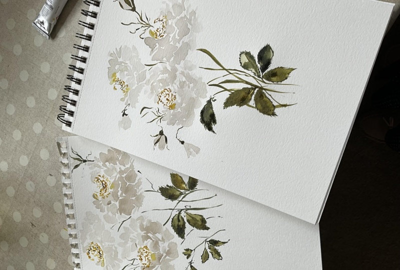 Roses