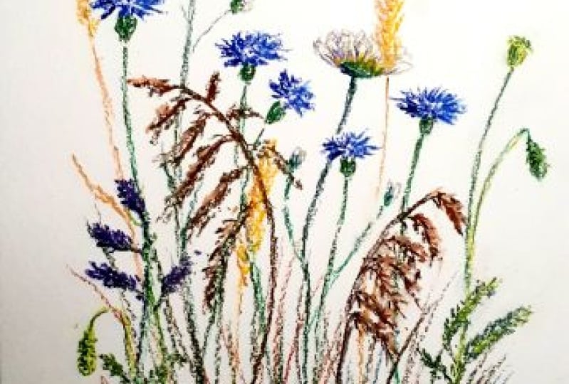 Wildflowers in Pastel