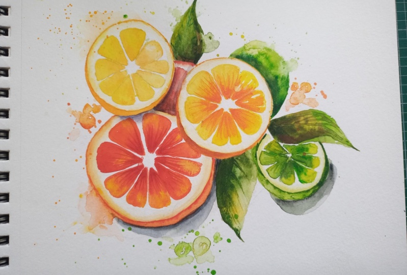 Citrus watercolour