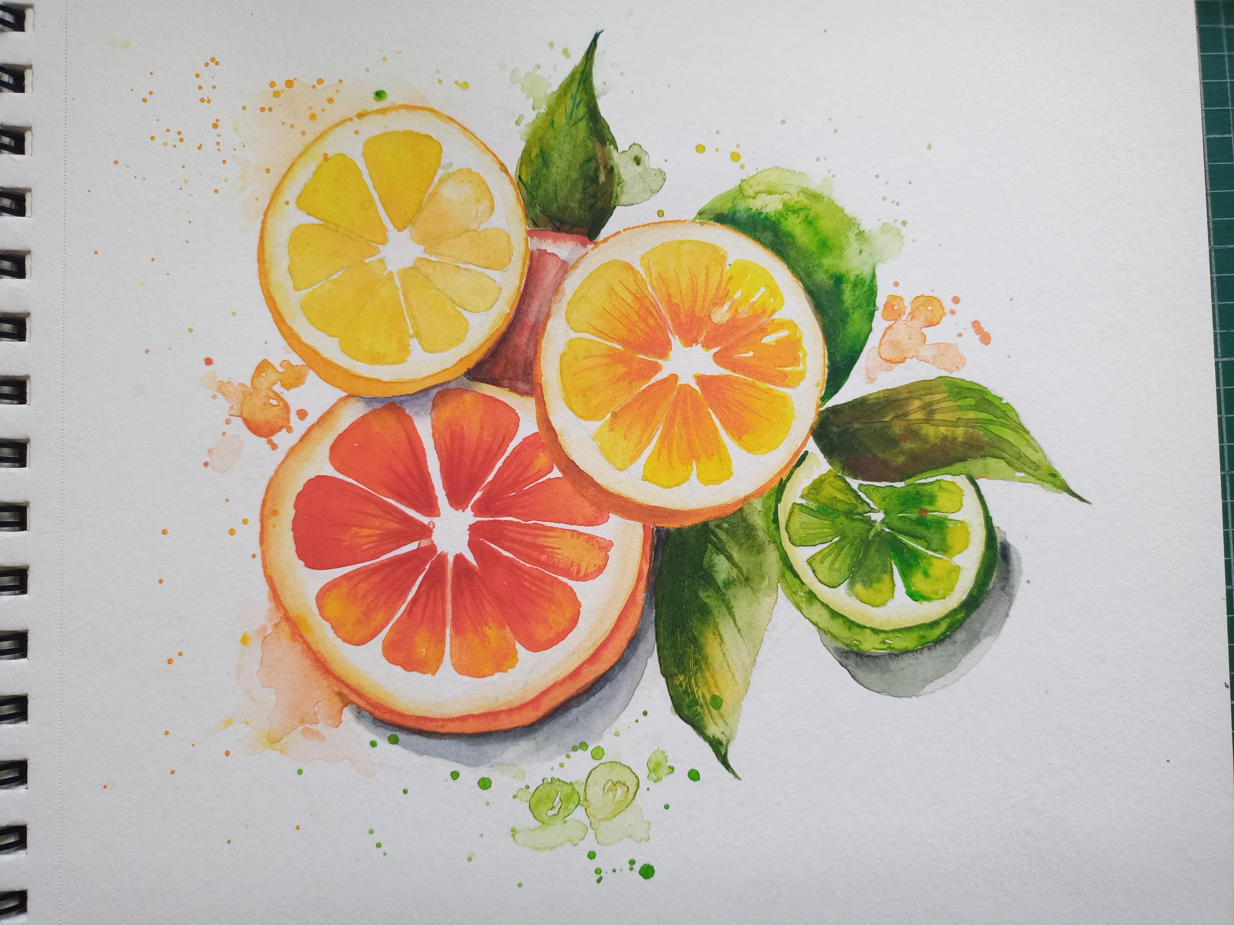 Citrus watercolour - student project