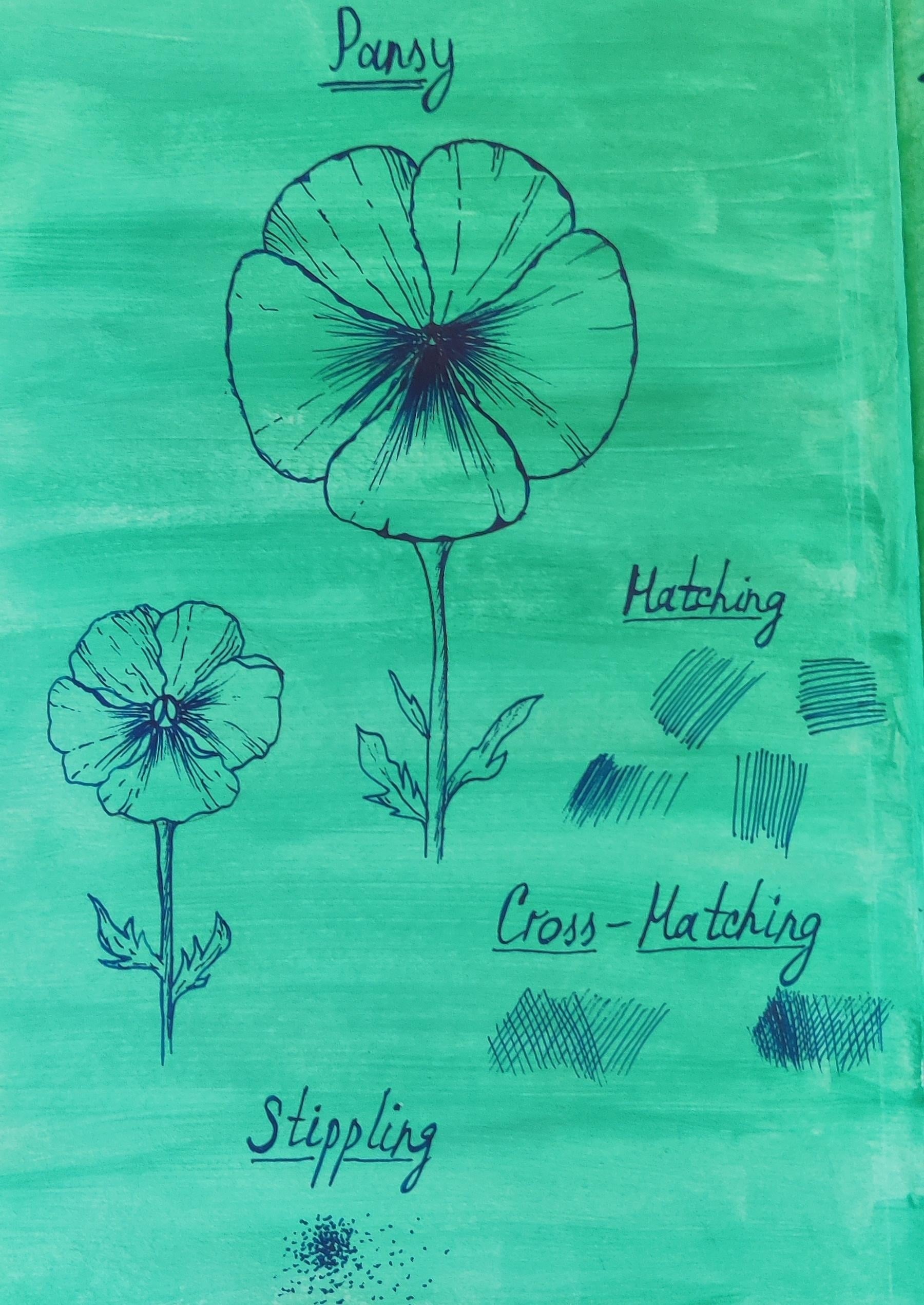 more-projects-from-class-img