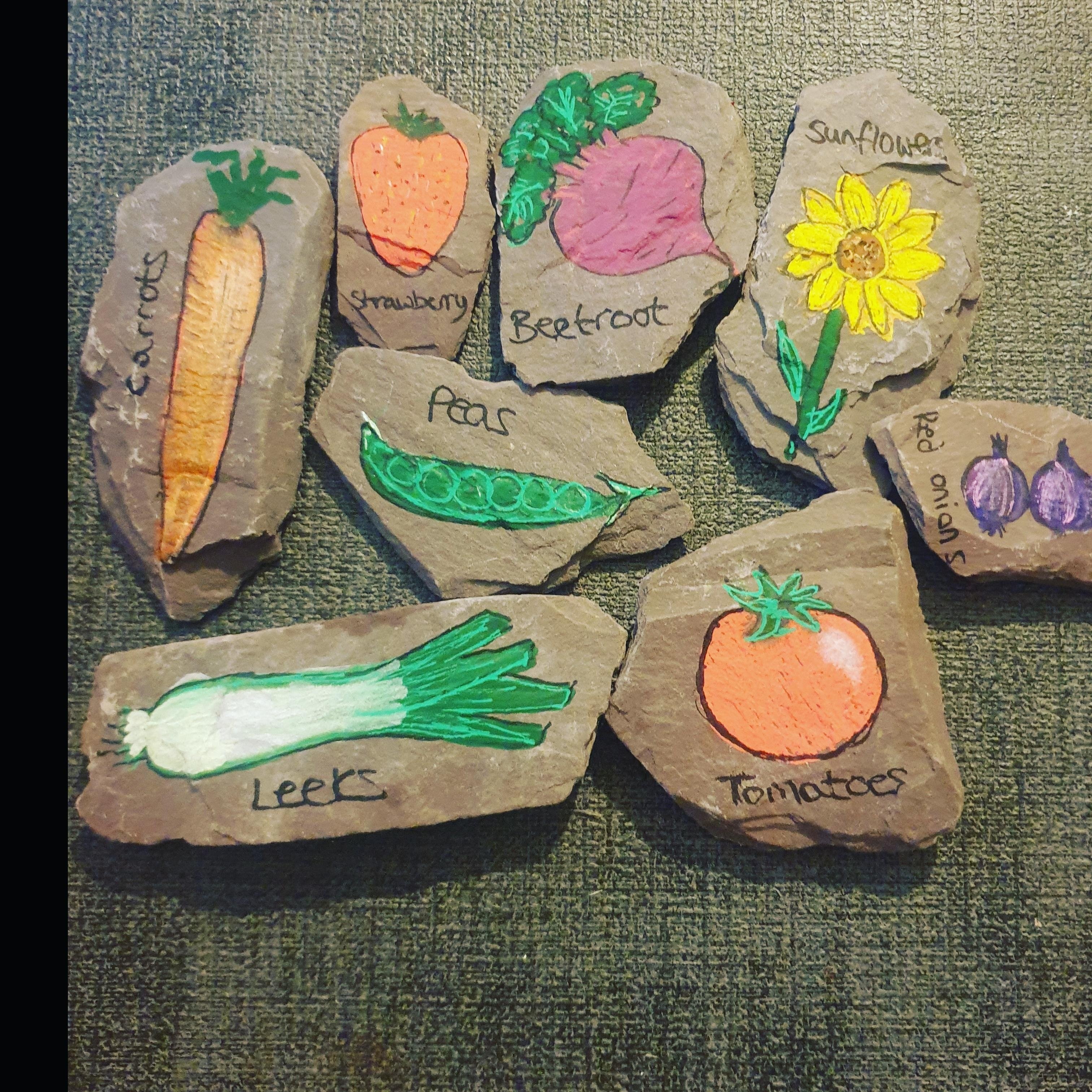 more-projects-from-class-img