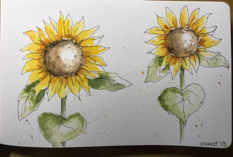 Sunflowers
