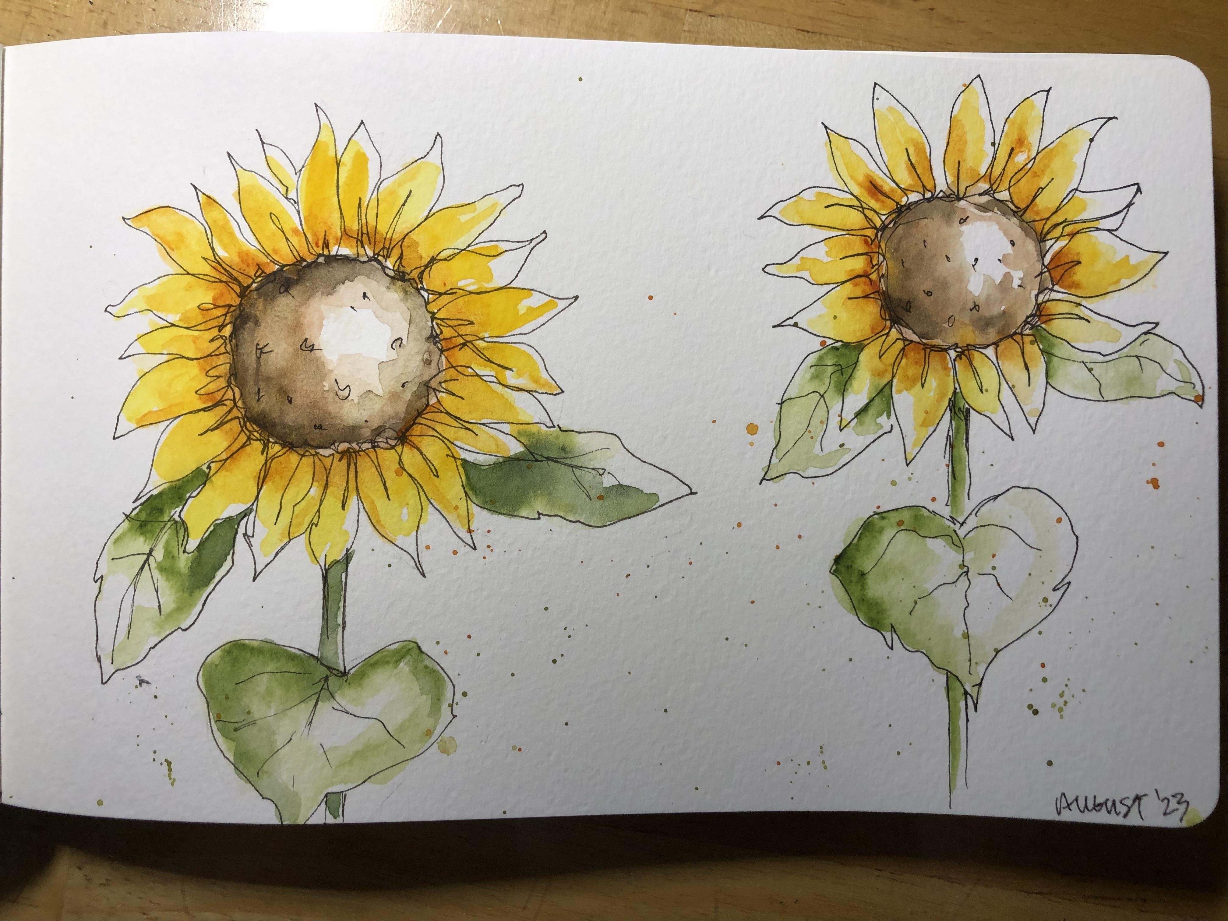 Sunflowers - student project