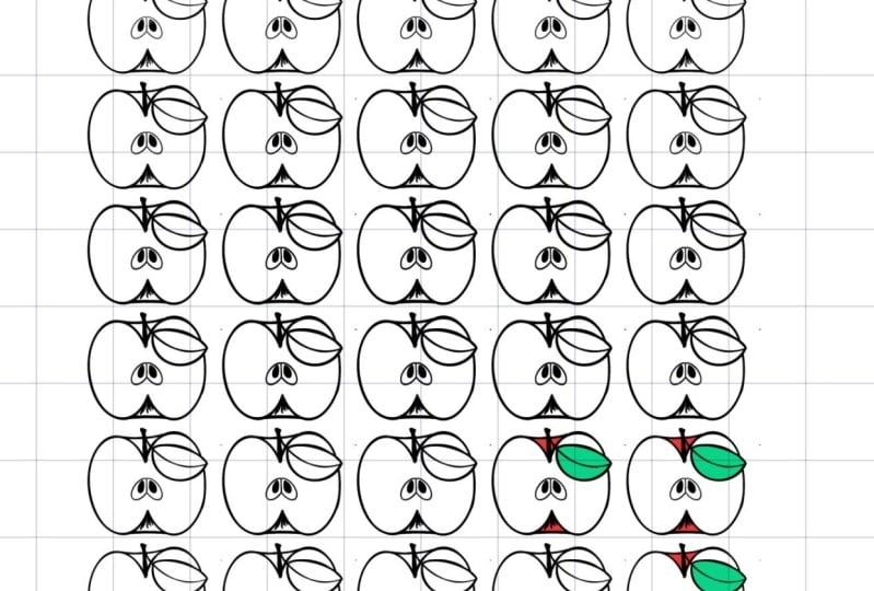 Patterns from nature