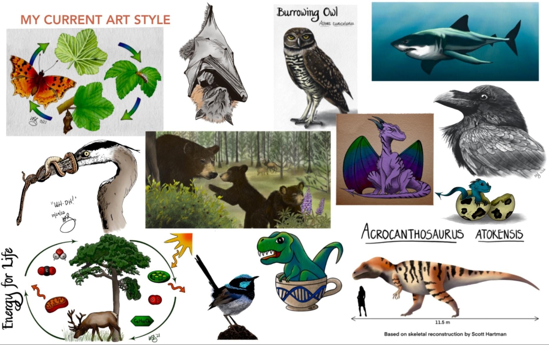 more-projects-from-class-img