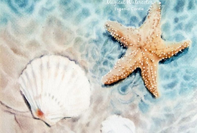 Clear Transparent Water With Shells And A Starfish, Mastering Drawing With Water