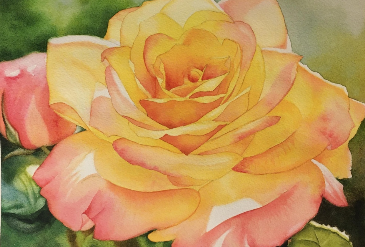 Mastering Yellow Roses in Watercolor | Krzysztof Kowalski | Skillshare, image size:1241x839