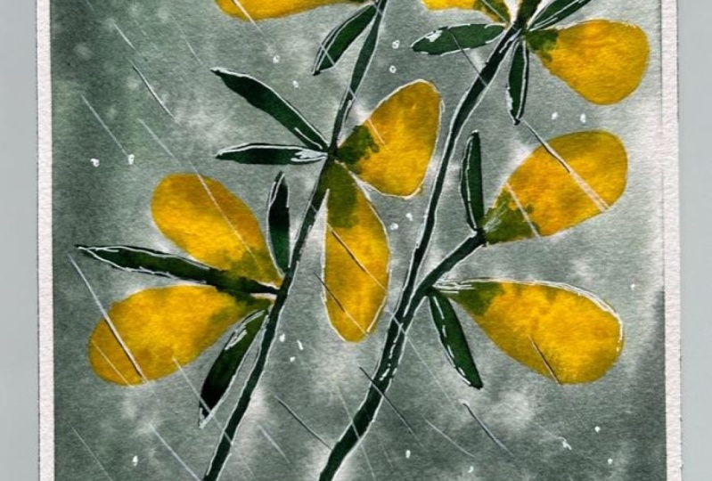 A day of dreamy monsoon