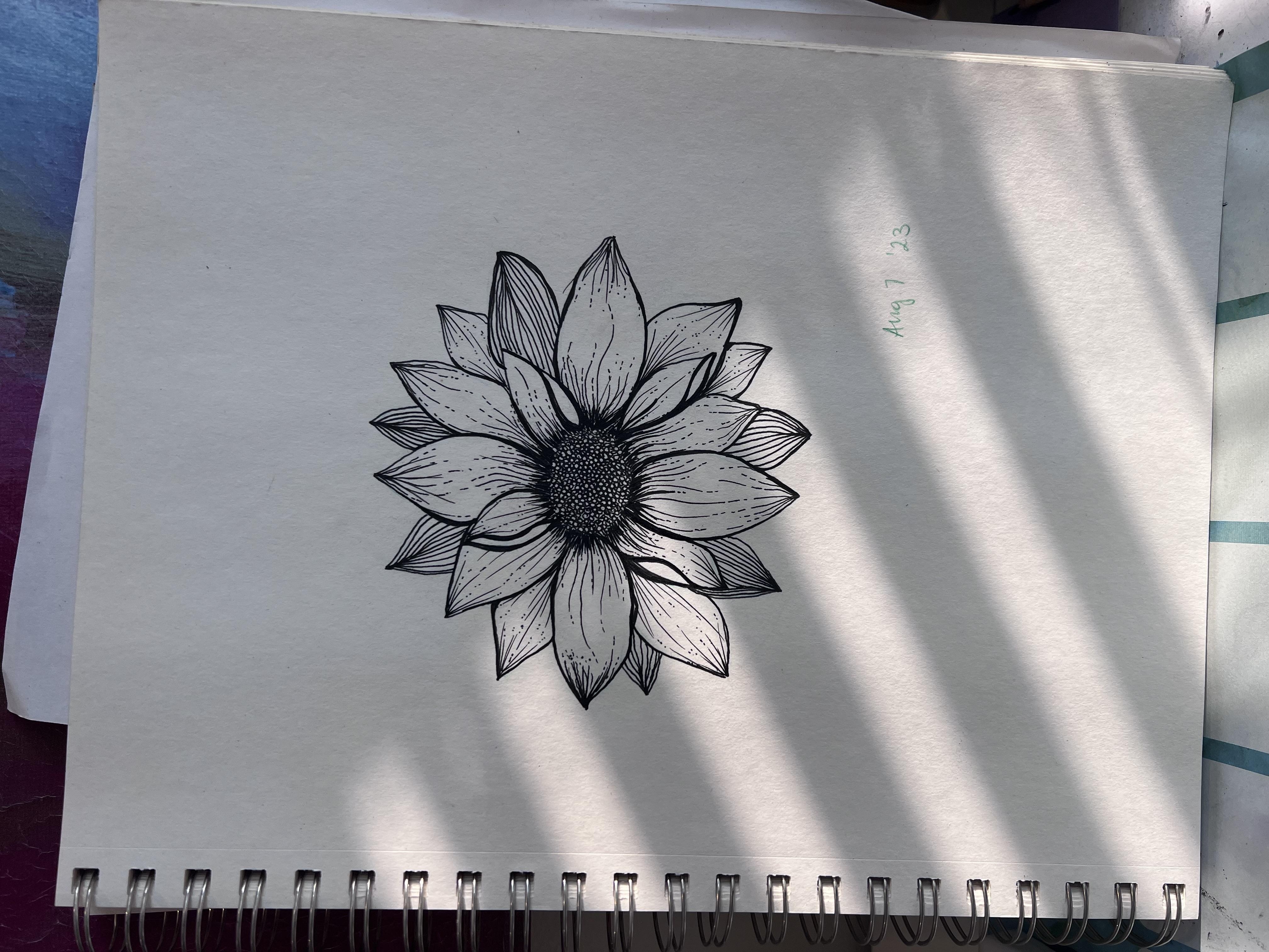 more-projects-from-class-img