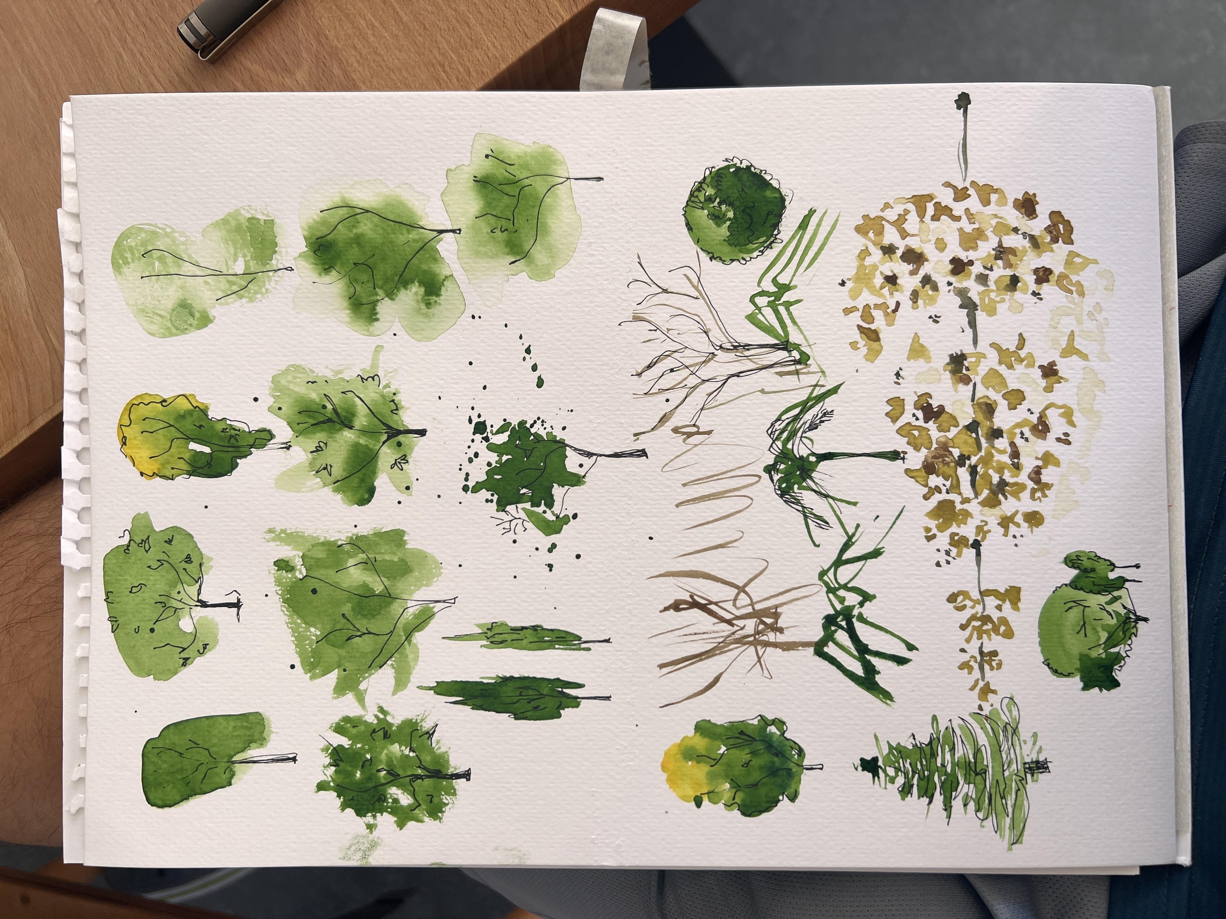 Trees - student project