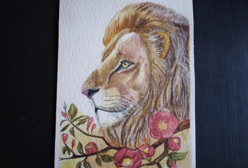 my lion