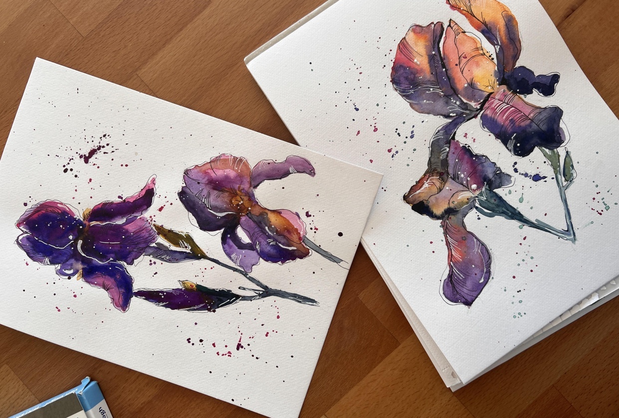 Iris - student project