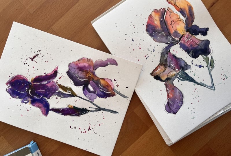 Iris