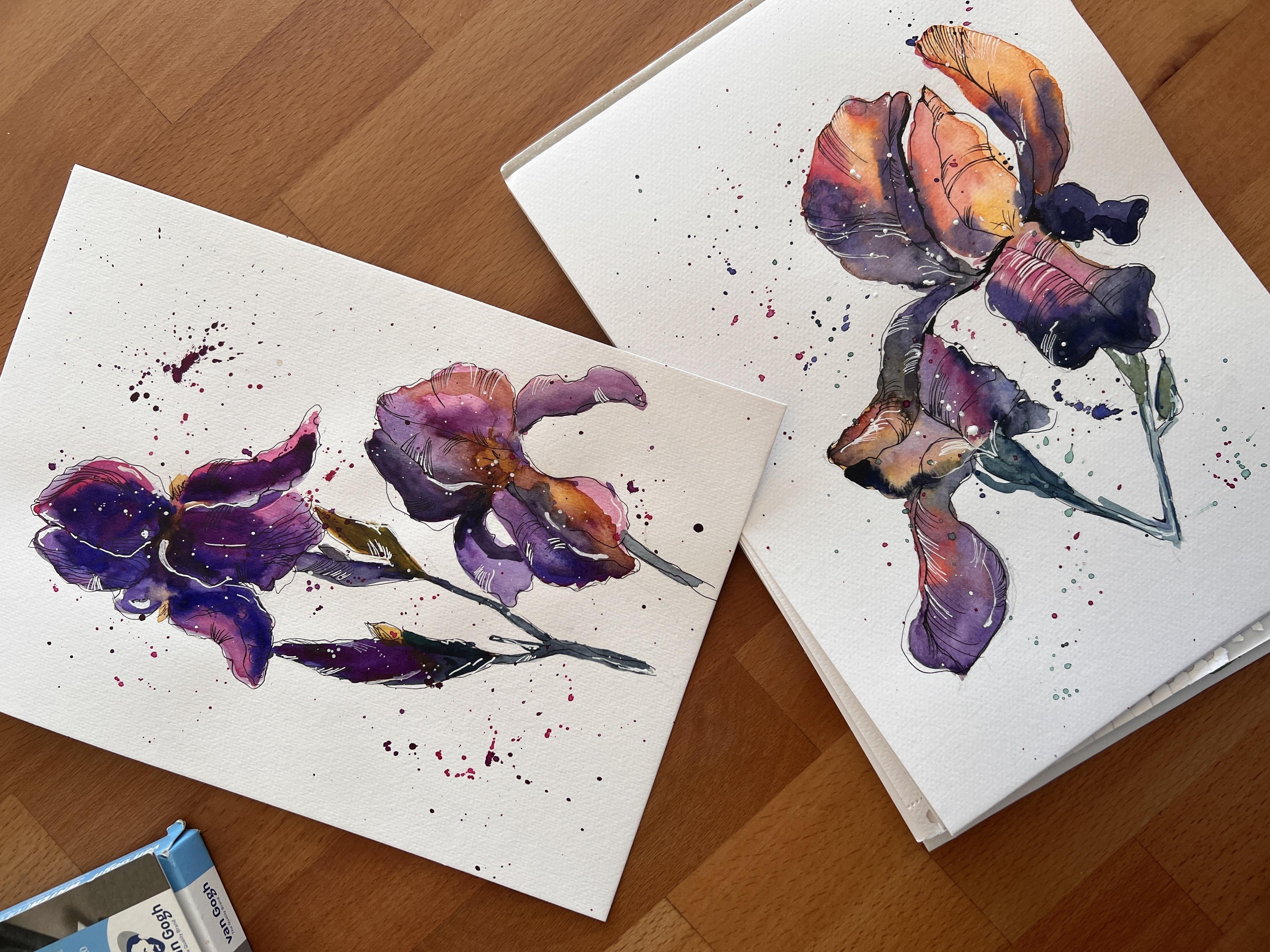 Iris - student project