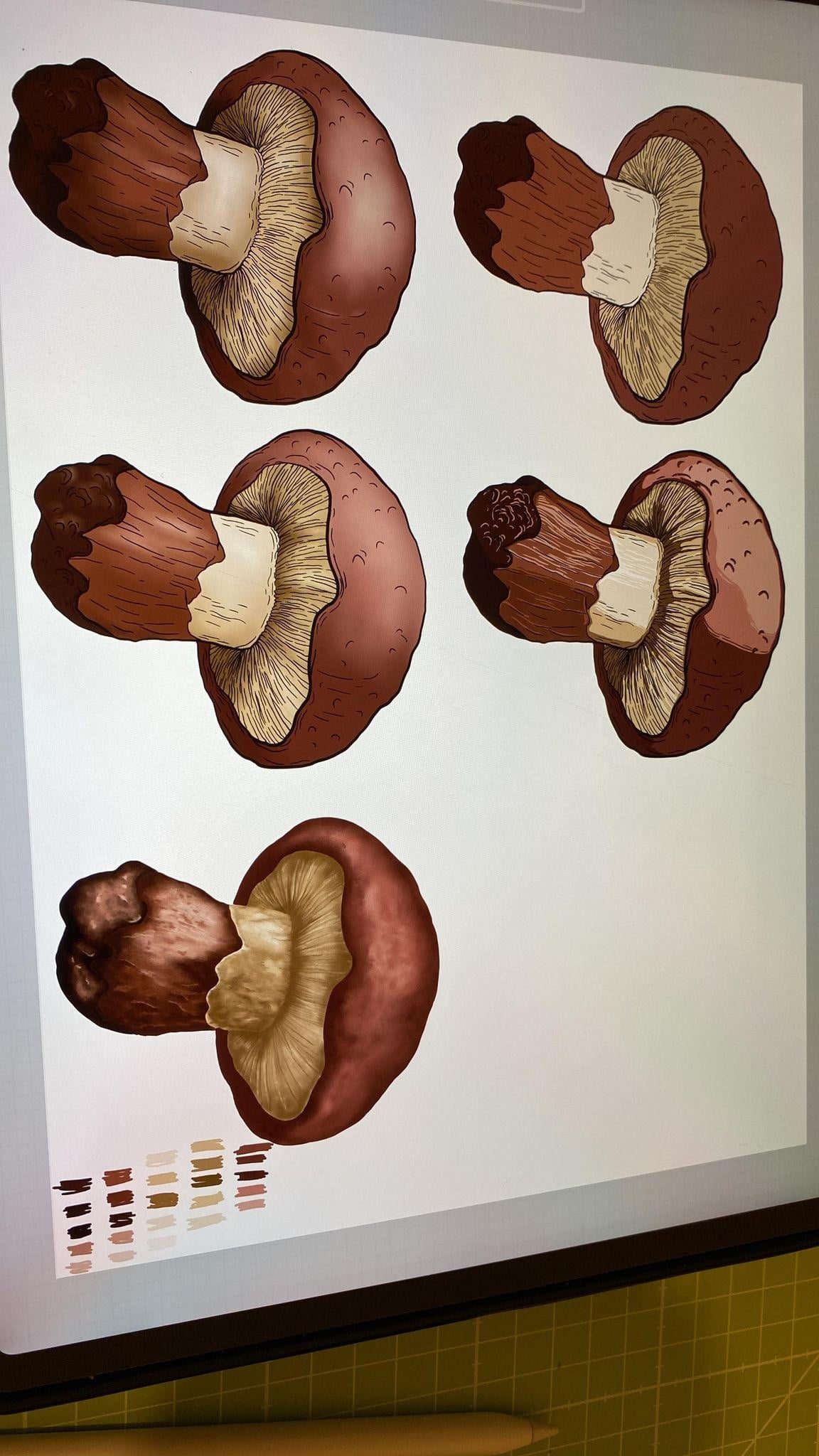 more-projects-from-class-img