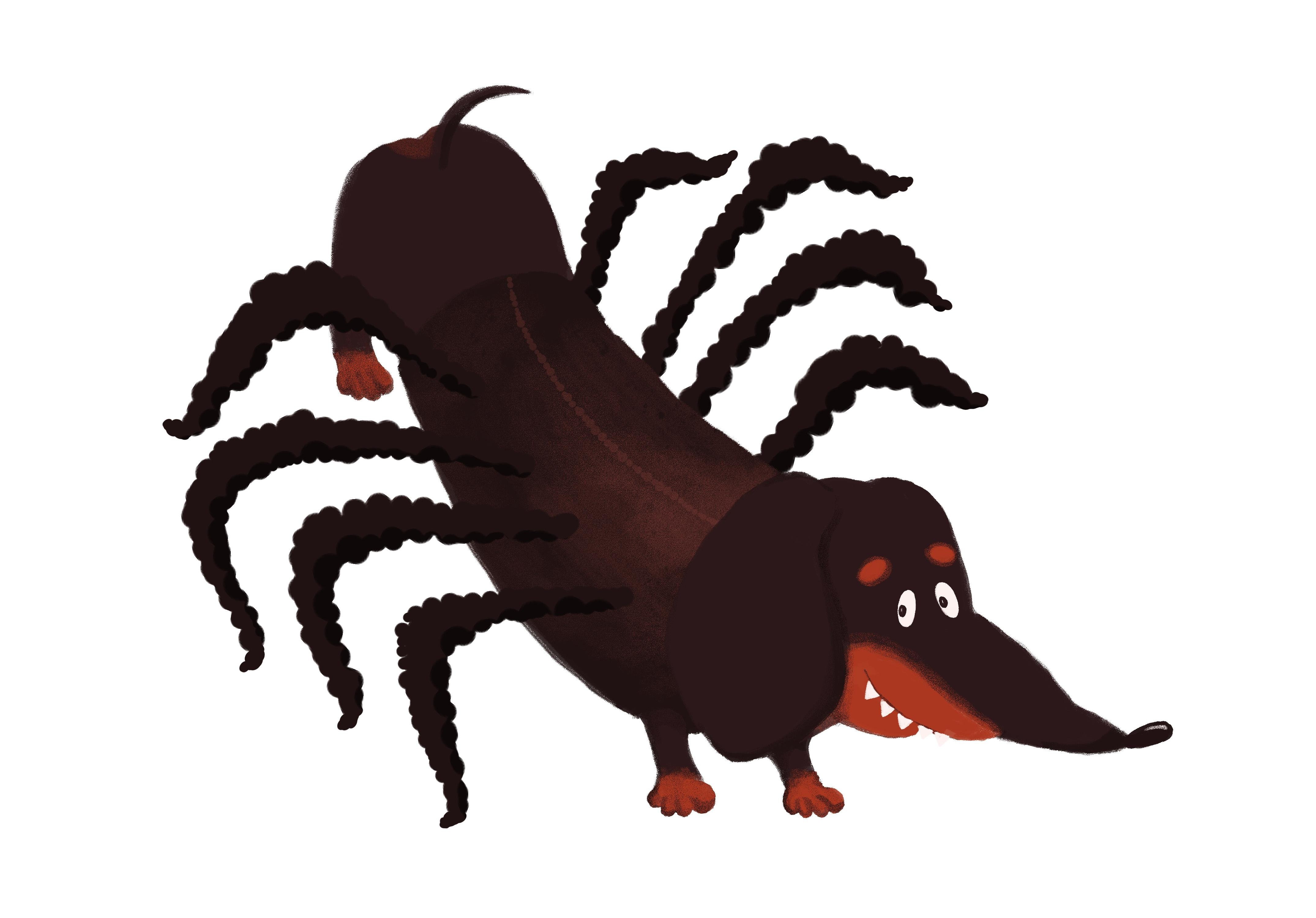 Halloween Dachshund