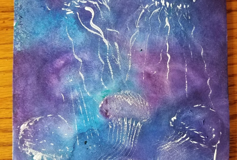 Jelly fish