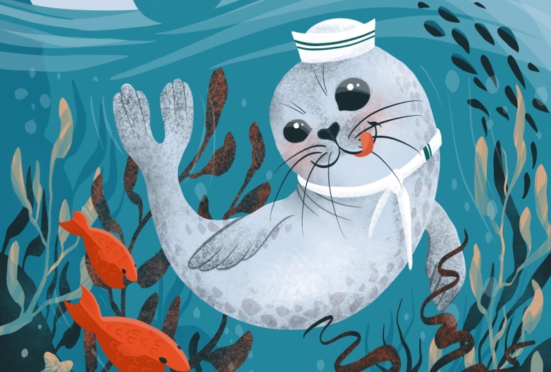 Cute Seal