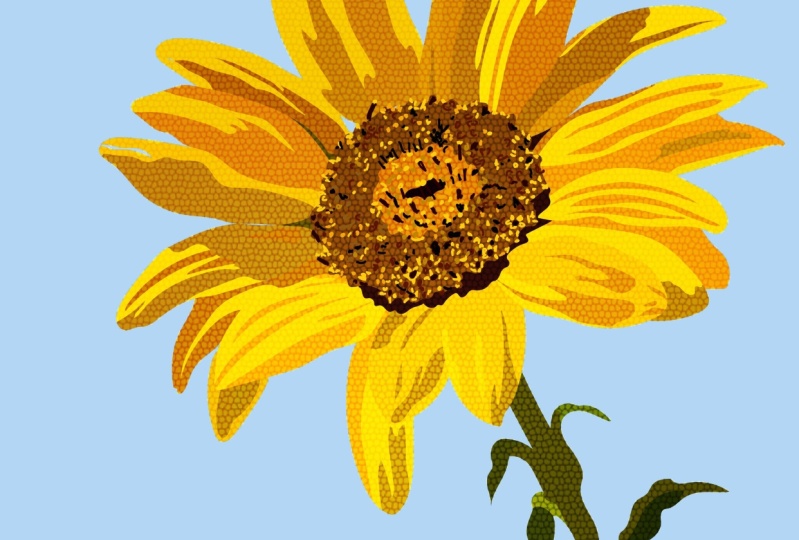 Botanical Sunflower