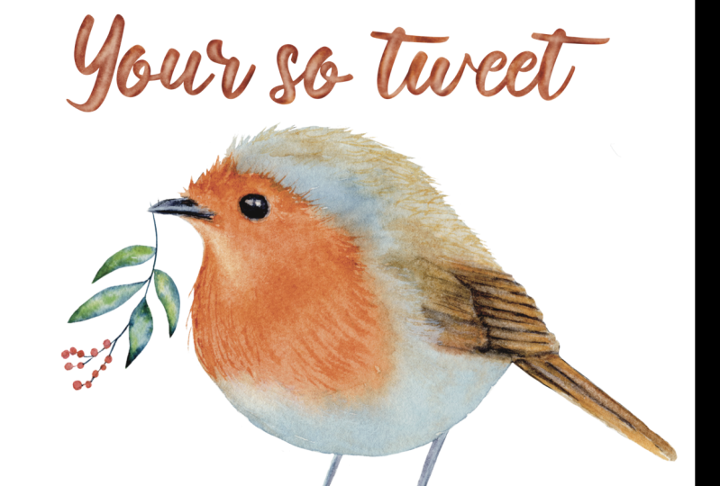Summer Bird Stickers and Clip Art