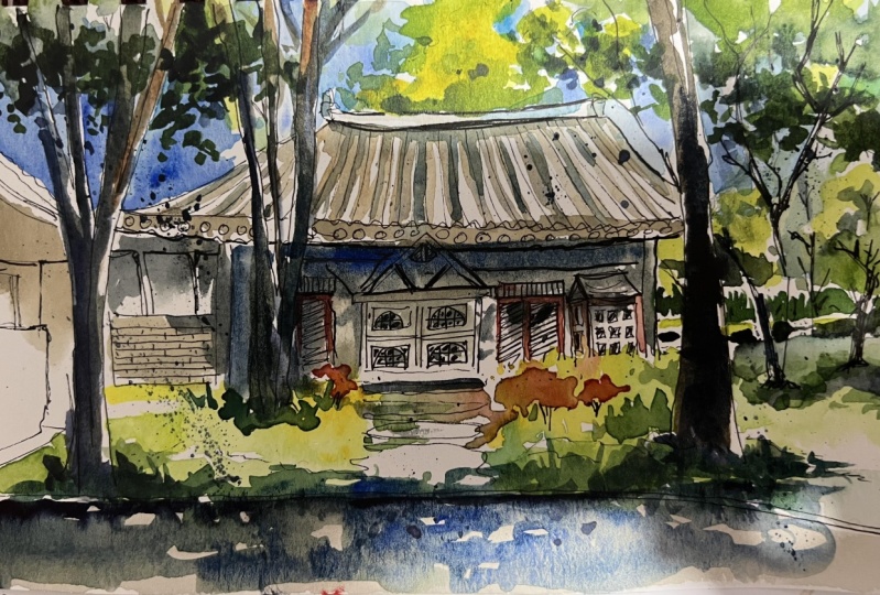 House and trees