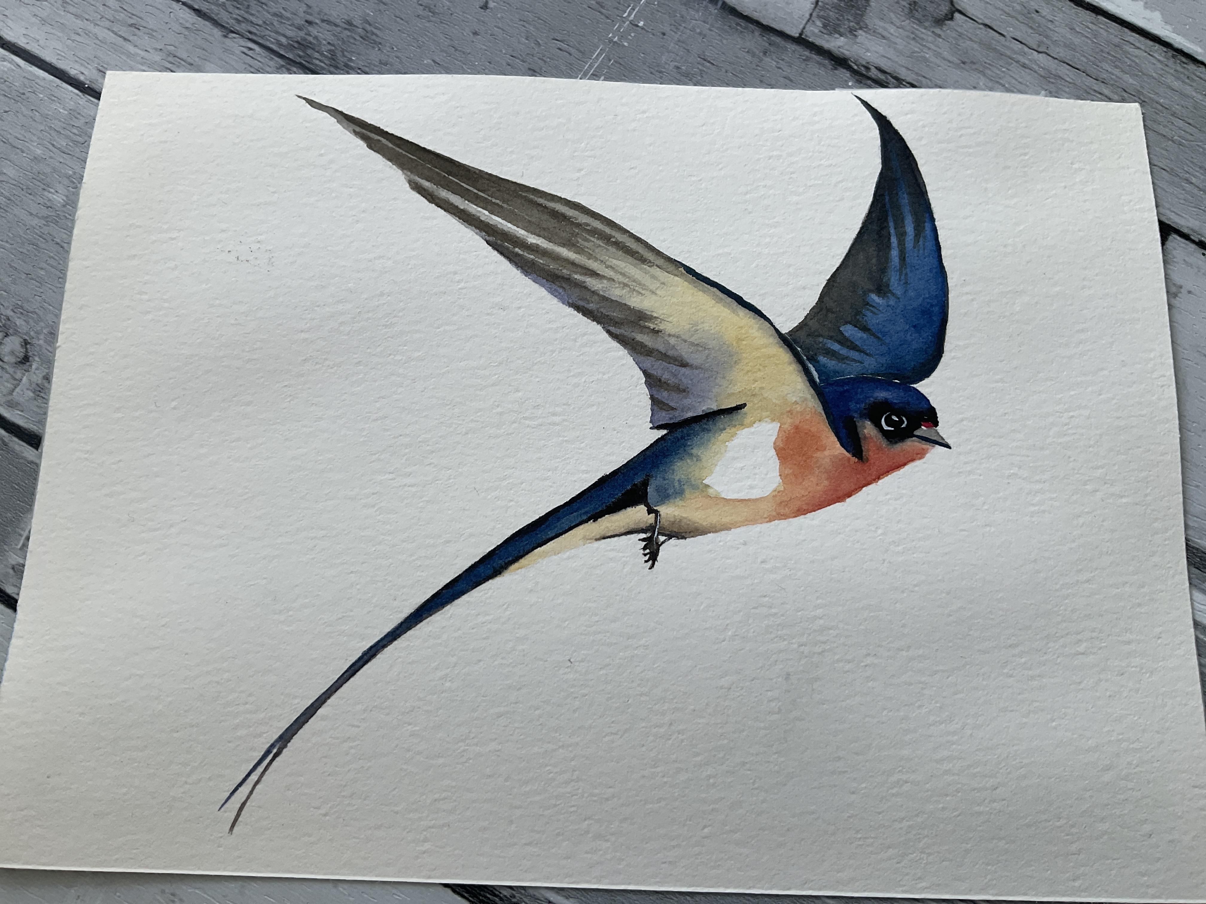 Watercolour Swallow - student project