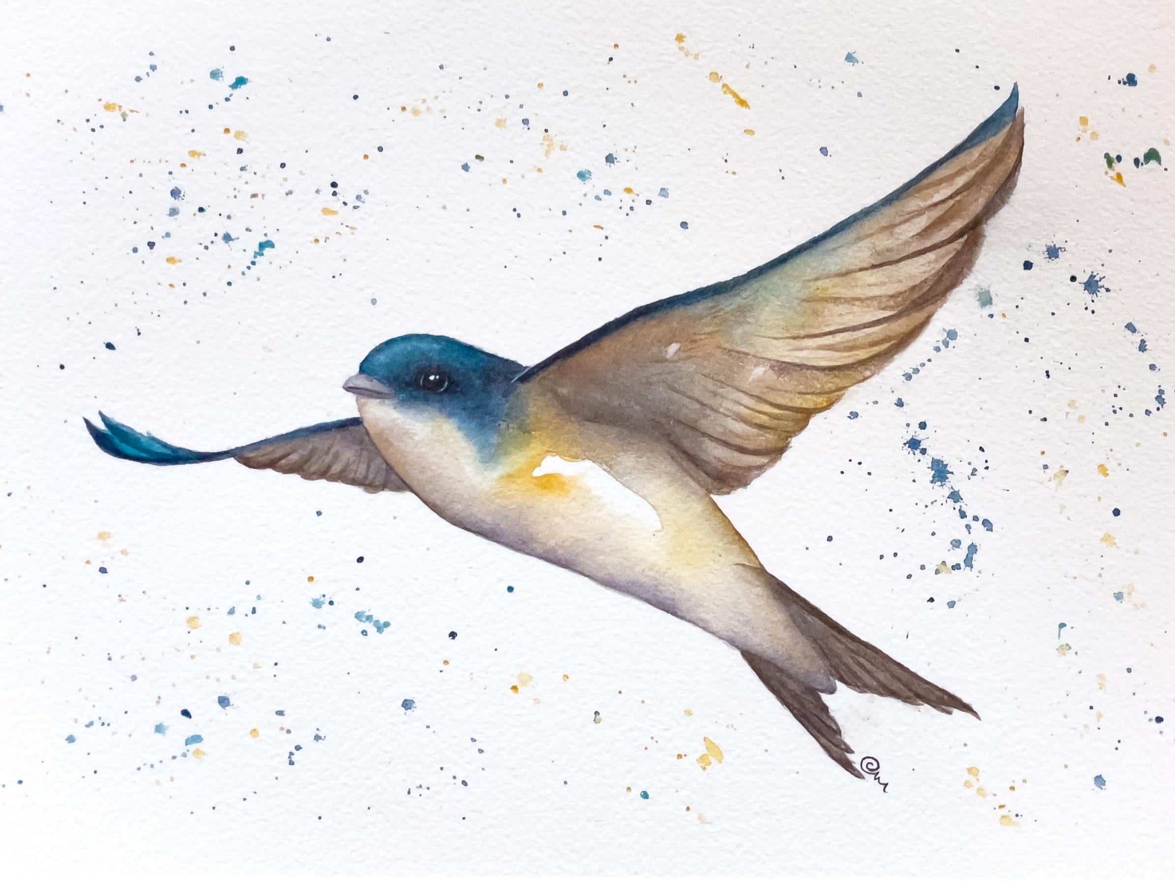 A little House Martin - student project
