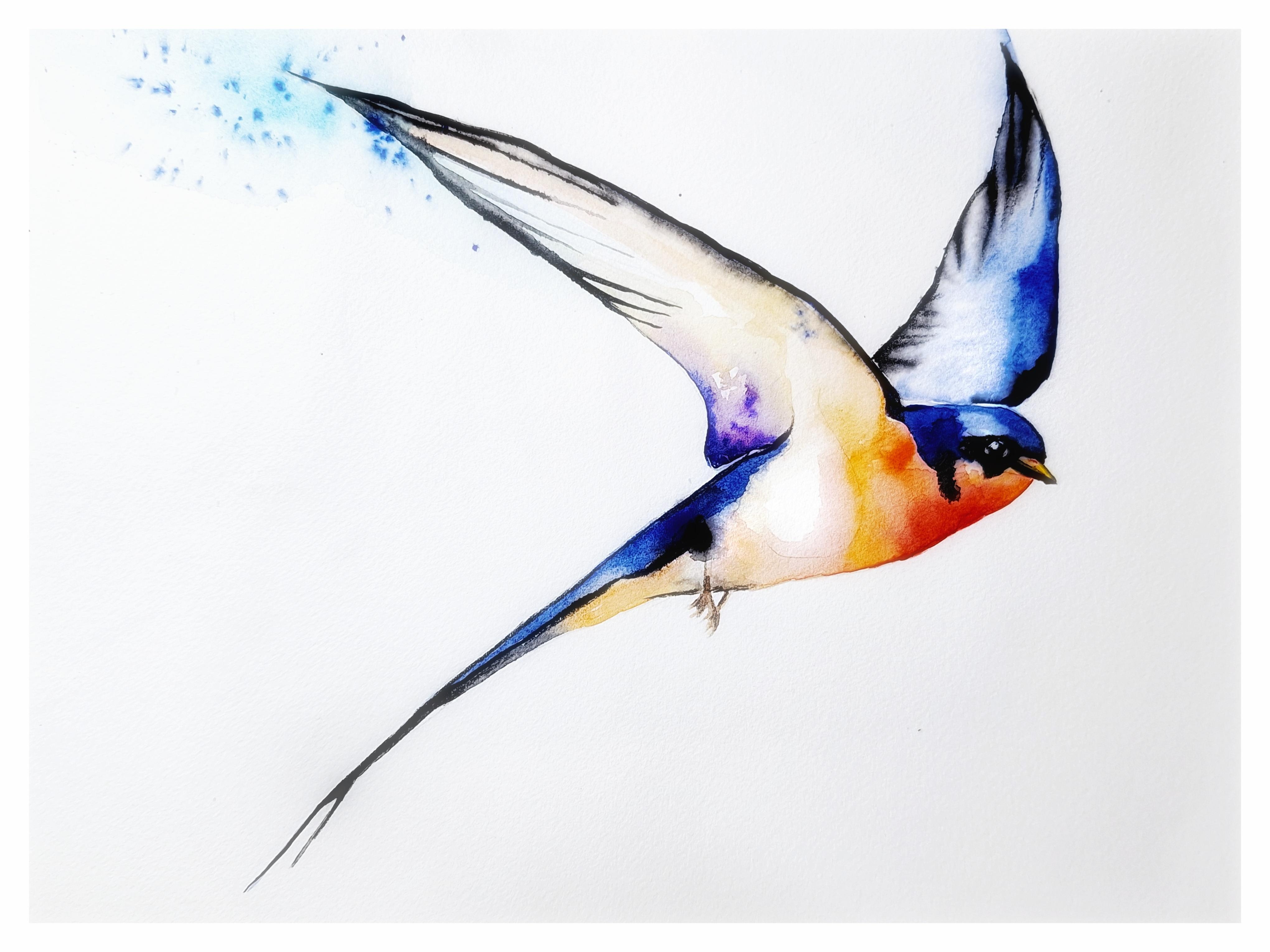Swallow - student project