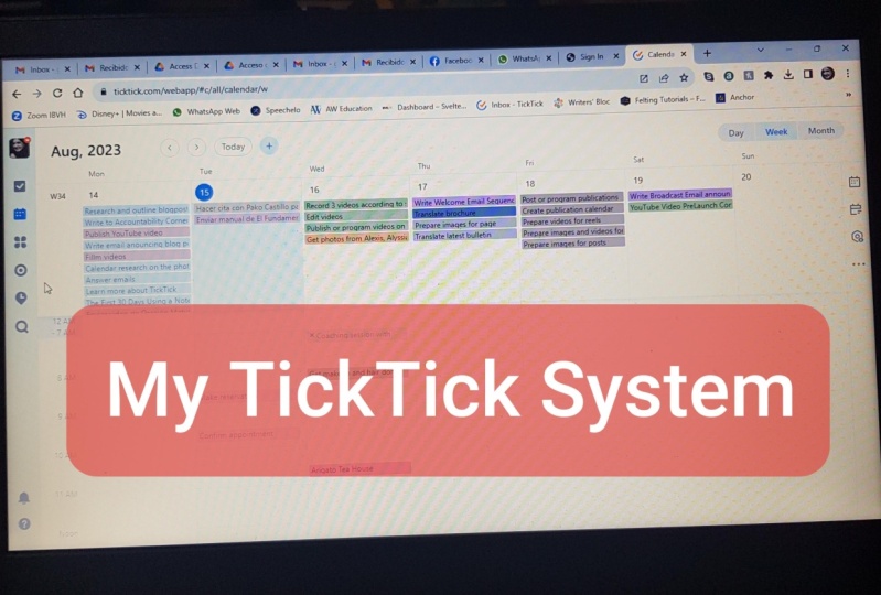 My TickTick System