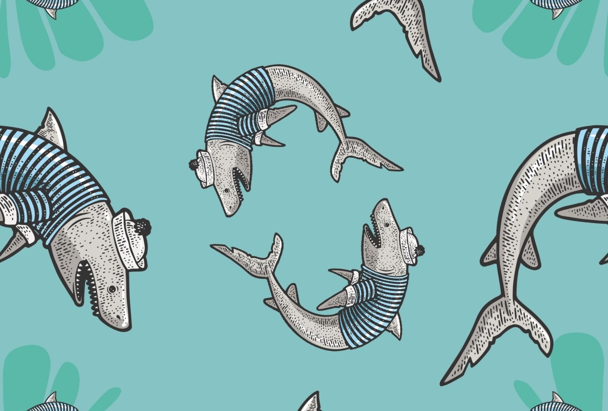 SharkSailor - student project