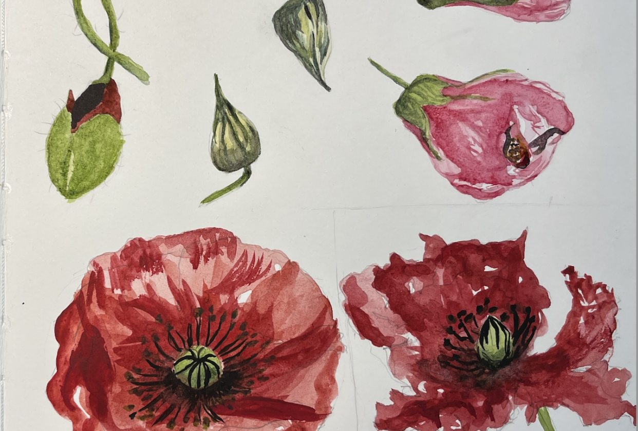 Loose but Precise Flowers warmups - student project