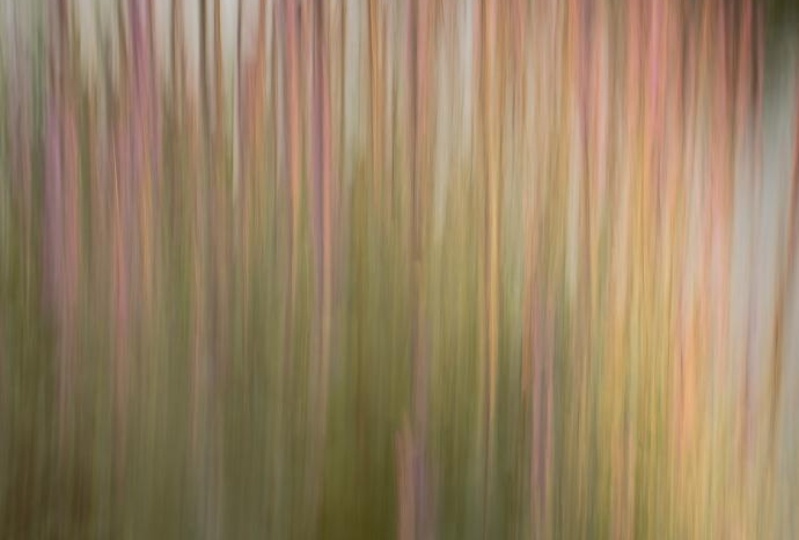 Intentional Camera Movement