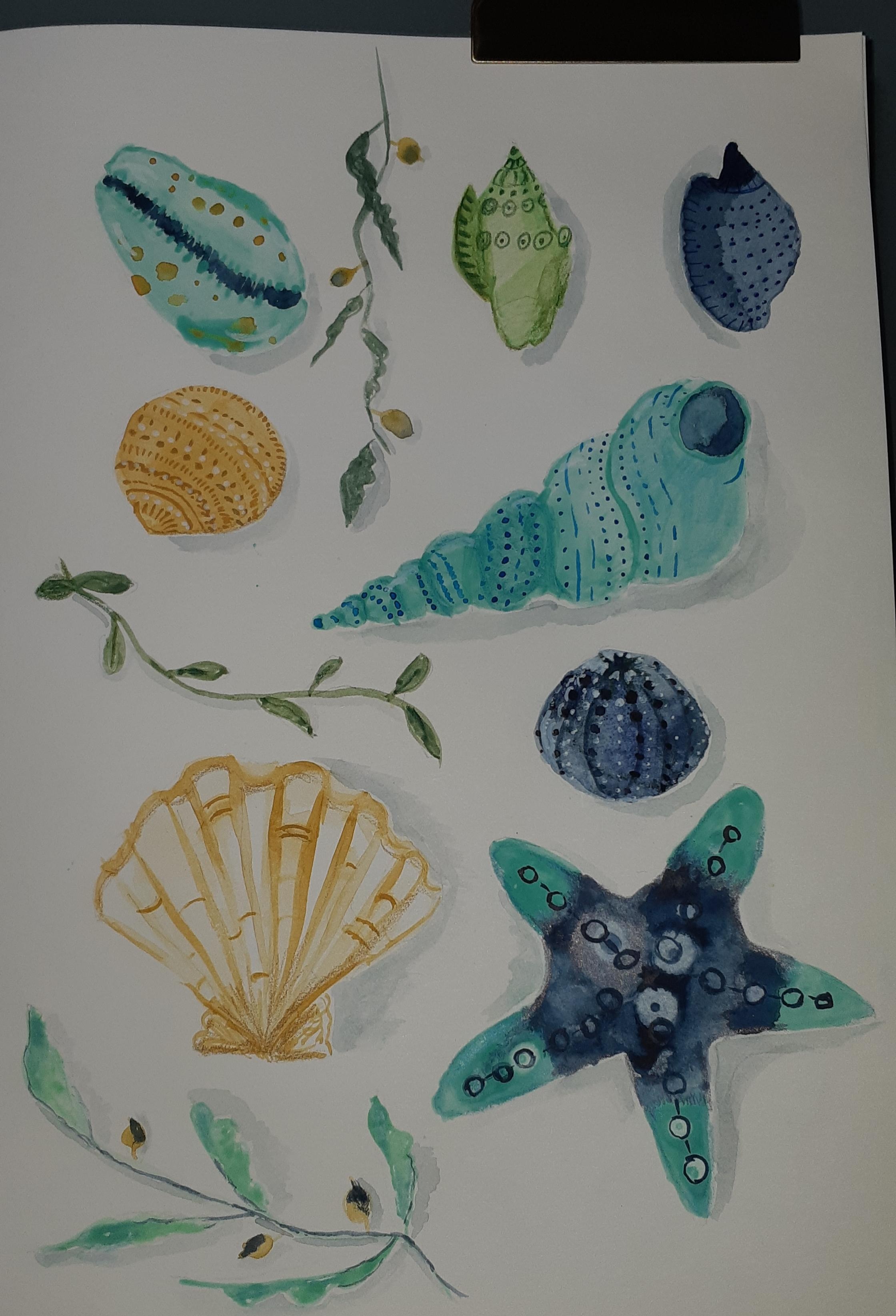 more-projects-from-class-img