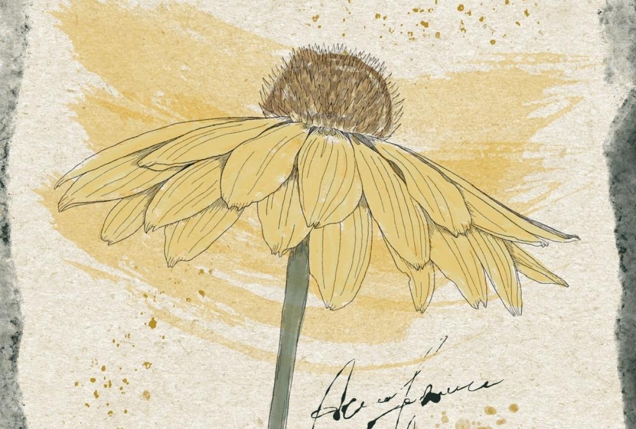 Watercolour botanical wall art in procreate - student project